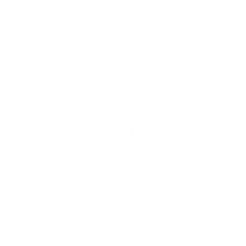 ZINTEK ARG